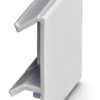 Dummy plug, PA, (W x H x D) 20 x 21.6 x 8.1 mm, light gray, 2707929
