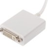 MINI DISPLAY PORT TO DVI