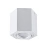 Oprawa natynkowa sufitowa Hexagon GU10 LED ruchoma SPOT biała