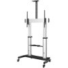 StarTech.com STNDMTV100 Mobile TV Stand - Heavy Duty TV Cart for 60-100" Displa
