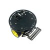 Turtle-2WD Platforma Mobilna DFRobot (ROB0005)