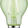 Żarówka LED Paulmann 28724 E-27 1.1 W 170 lm zielony 1 szt.