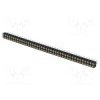 DS1002-01-2X40V13