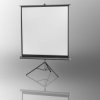 Ekran wieszany na statywie Celexon, 184 x 184 cm, 1:1