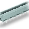 Pin header, 10 pole, pitch 7.5 mm, straight, gray, 231-240/040-000
