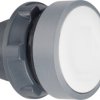 Pushbutton, unlabeled, unlit, waistband round, white, front ring light gray, mounting Ø 22 mm, ZB5AA1C0