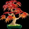 10348 LEGO® Botanicals - Japanese Red Maple Bonsai Tree