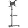 SpeaKa Professional SP-10094232 TV trolley height-adjustable 94cm to 203cm