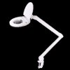 8W 6500K LED Workshop Lamp with 5