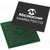 SAM9X75D1GT-I/4TB