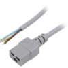 Kabel: 3X1,5Mm2, Iec C19 Żeński, Dł: 5M, 16A Lt-549 H05vv-F 3X1.5 Gry 5M End Roj