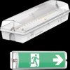 ELED200100-8H LED escape route light, emergency light, wall mounting, IP65