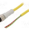 CSAS3F3CY2210