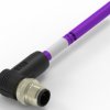 Sensor actuator cable, M12-cable plug, angled to open end, 2 pole, 1 m, PUR, purple, 4 A, TAB62235501-002