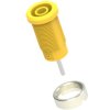 Gniazdo bananowe Żeńskie Trzpień typ Gniazdo bananowe Żółty Electro PJP rozmiar 4 mm 1 kV Nikiel