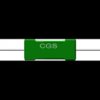 0R5 Ohms 3 Watt 1 % C3A series resistor - CGS