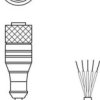Leuze Electronic 50104172 Linia połączenia Leuze, 1 szt.