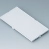 Front plate, PC, (W x H) 84 x 42 mm, gray, B6804100