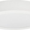 LED FENIX-R White 24W CCT 2100/3220lm - Oprawa LED natynkowa n/t (Downlight LED) GXDW428