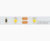Taśma LED line 300 SMD3528 12V 6500K 4,8W 5 lat gwar. 249433/30m/