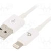 CC-USB2P-AMLM-2M-W