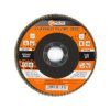 Tarcza Listkowa, 125*22Mm, Ziarno K36 (54-001)