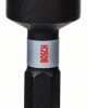 Bosch Accessories neu 2608522352 Nasadka trzpieniowa 10 mm 1/2