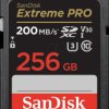 SDSDXXD-256G-GN4IN SDHX memory card, 256 GB