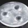LENS-LI-ANNA-50-3-W-C11608