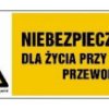 ZNAK - HB007 Niebezpieczeństwo dla życia przy dotknięciu przewodów 45 x 15 cm FN - Folia samoprzylepna