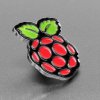 Adafruit Raspberry Pi Enamel Pin