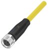 BALLUFF BCC0AKU Kabel połączeniowy czujnika/aktuatora, 5.00 m, 1 szt.
