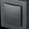 159881A0 Wall pushbutton 2-fold, anthracite