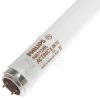 UV-A G13 L» 590 40W/10/R Philips TL-K Actinic T8 Pasmo ultrafioletowe UV-A