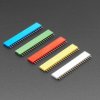 Adafruit 20-pin 0.1