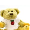Babbage Bear