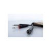 Cordial 14885 Jack Audio/phono Y adapter Black PVC 0.30 m 6.3 mm sockets/plugs