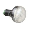 Sygnalizator optyczny LED seria 239, 24 V DC, 5 kolorów, IP65, 23948055
