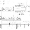 Ultra Low Power Stereo Audio Codec with miniDSP and Stereo Digital Microphone Input | RGE | 24 | -40 to 85