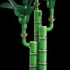 10344 LEGO® Botanicals – Lucky Bamboo