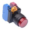 YW1L-A2E11Q0R Red 22mm Maintained Push Button Switch 1NO-2NC IP65 IDEC