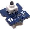 Zestaw rozwojowy Human Machine Interface (HMI), Grove-Button(P), Przycisk