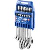 Expert E111106 Ratchet Combination Spanner Set, 12 Piece