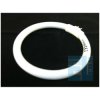 ŻARÓWKA ŚWIETLÓWKA T4/12W DO LAMPY Z LUPĄ 8092 121x97x12mm