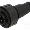 PXV0748/P