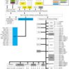 16/32 Bit RISC Flash MCU, Arm Cortex-R4F | PGE | 144 | -40 to 125