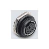 BKL 0206002 Mini DIN Connector Plug 5 Pins Silver Straight 1 piece