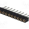 DS1002-02-1X10BT1F
