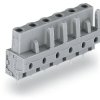 WAGO 232-746 gniazdo 10 szt.