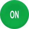 Label, green, for Flush 30 mm, ZBAF341